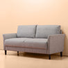 Soft Grey Classic Sofa